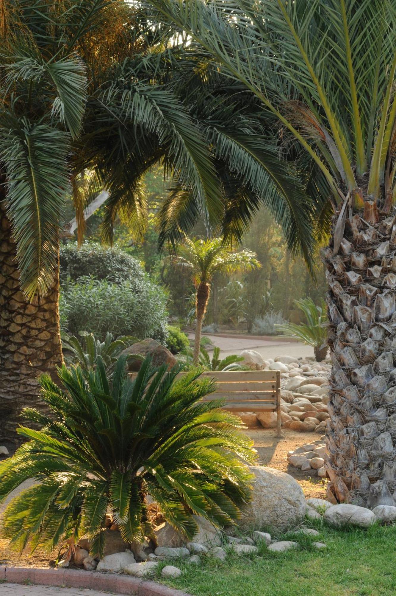 Hotel Le Belvedere Porto-Vecchio  Exteriör bild